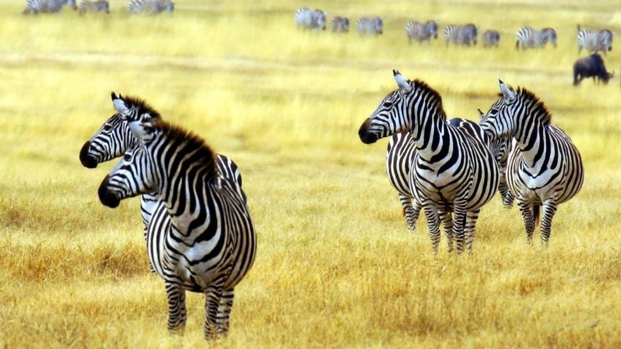 You can make a difference by acting responsible and doing your part.