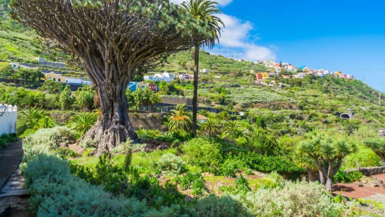 Top 10 Things To Do In Tenerife