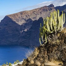 Los Gigantes