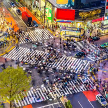 Shibuya Crossing