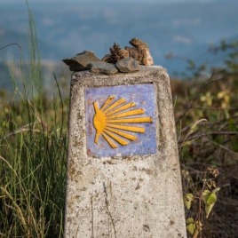 Camino Holidays