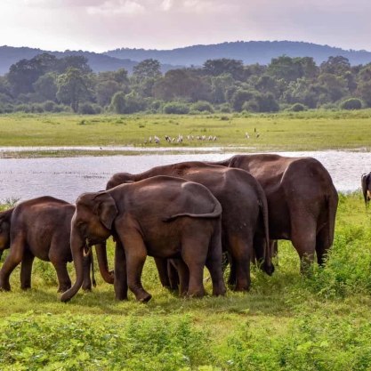 Sri Lanka