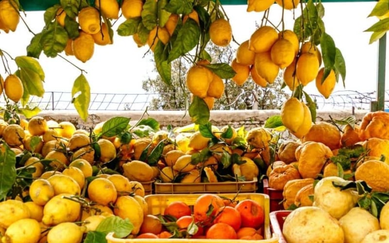 Top 5 Foods of Sorrento