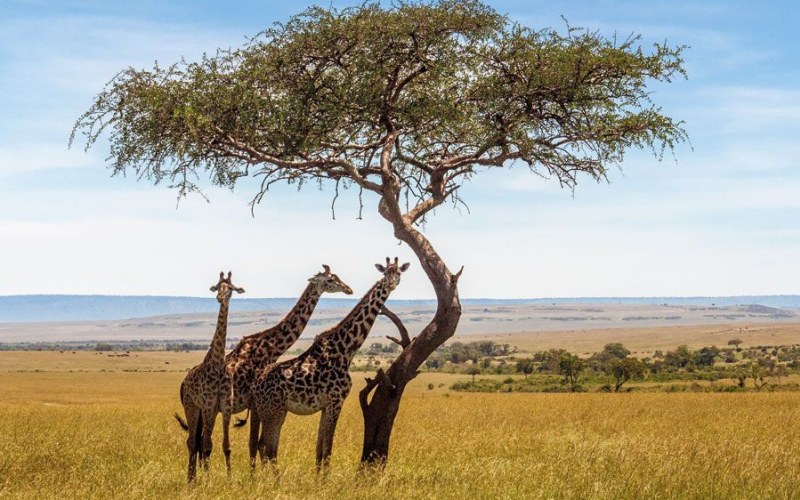 Top things to do and must-see attractions in South Africa