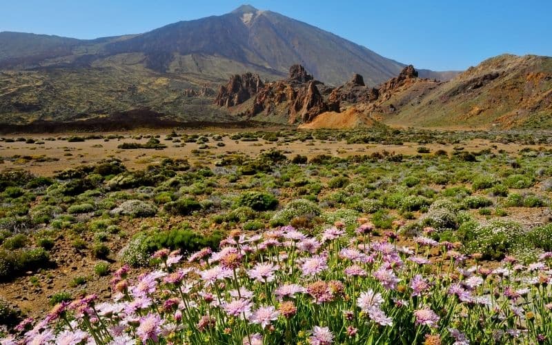 Mount Teide