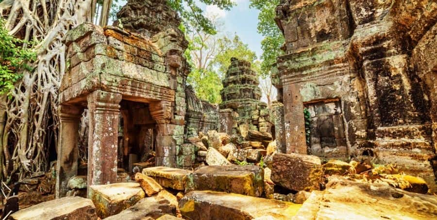 discover-ta-prohm-on-guided-cambodia-holiday.jpg