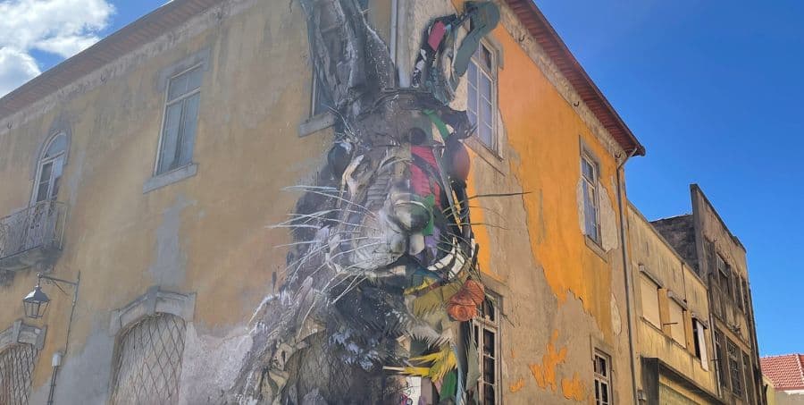 half-rabbit-visit-porto.jpg