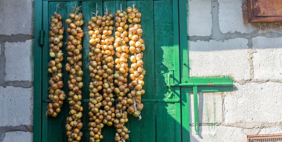 greece-new-year-tradition.jpg