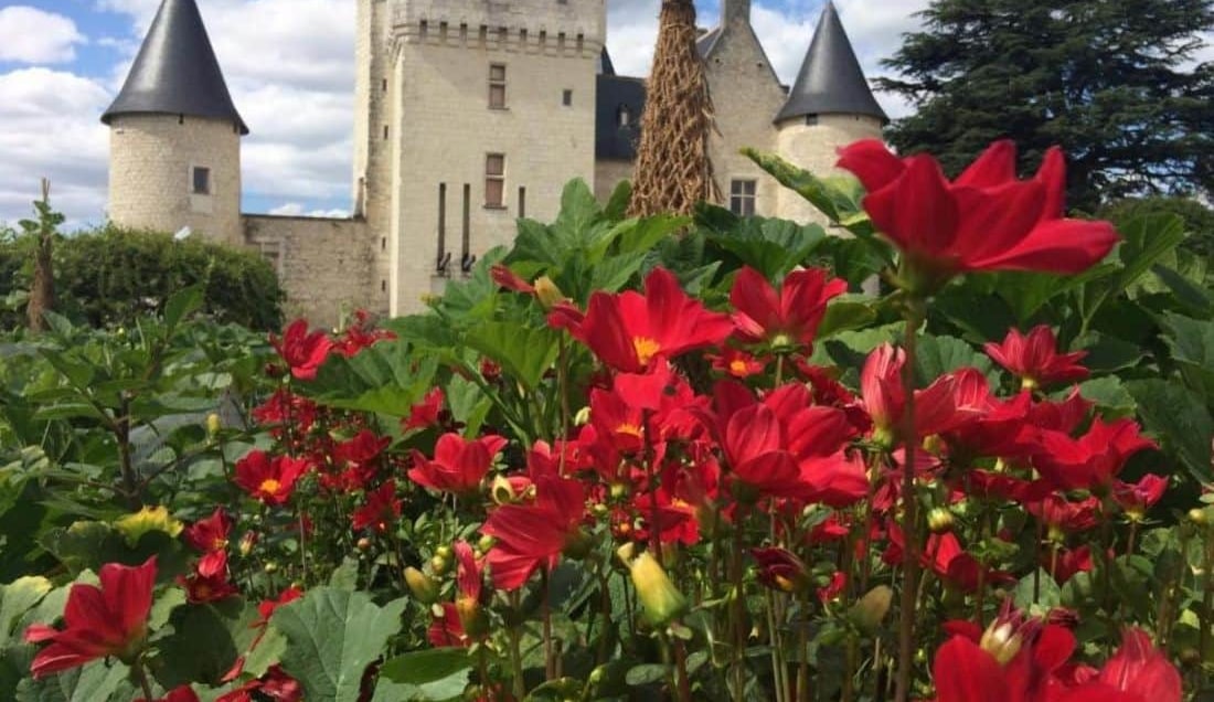 Discover Chateau de Rivau