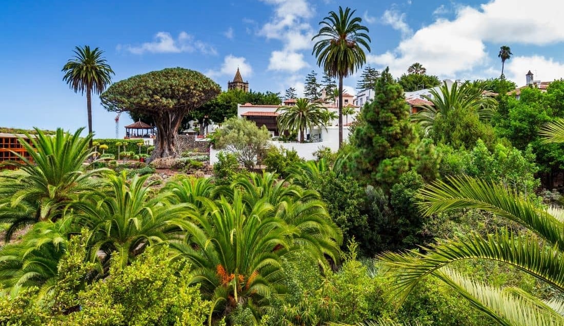 Visit Tenerife