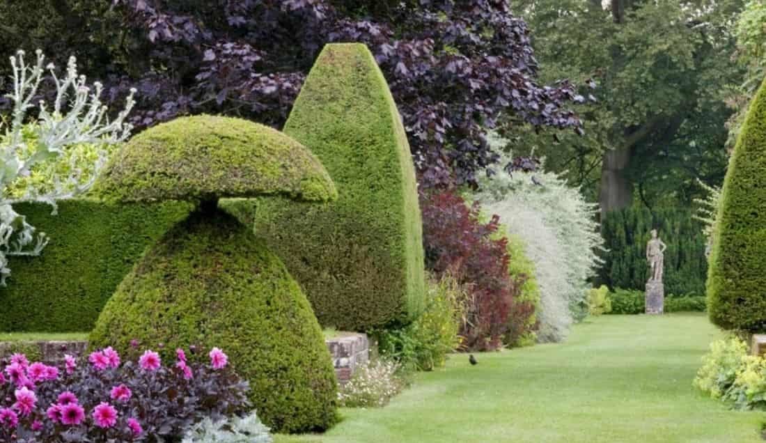 Discover Hinton Ampner gardens