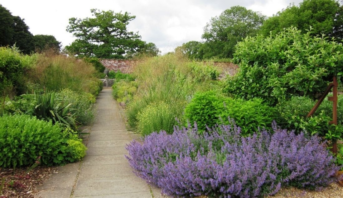 Discover Hinton Ampner