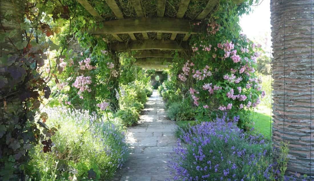 Visit Hestercombe Gardens