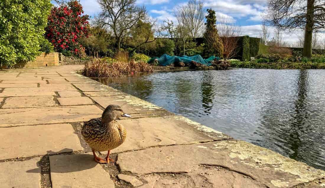 Explore Hyde Hall Garden