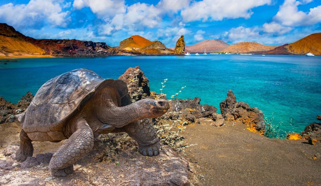 Discover Ecuador & The Galapagos Islands - Unique Small Group