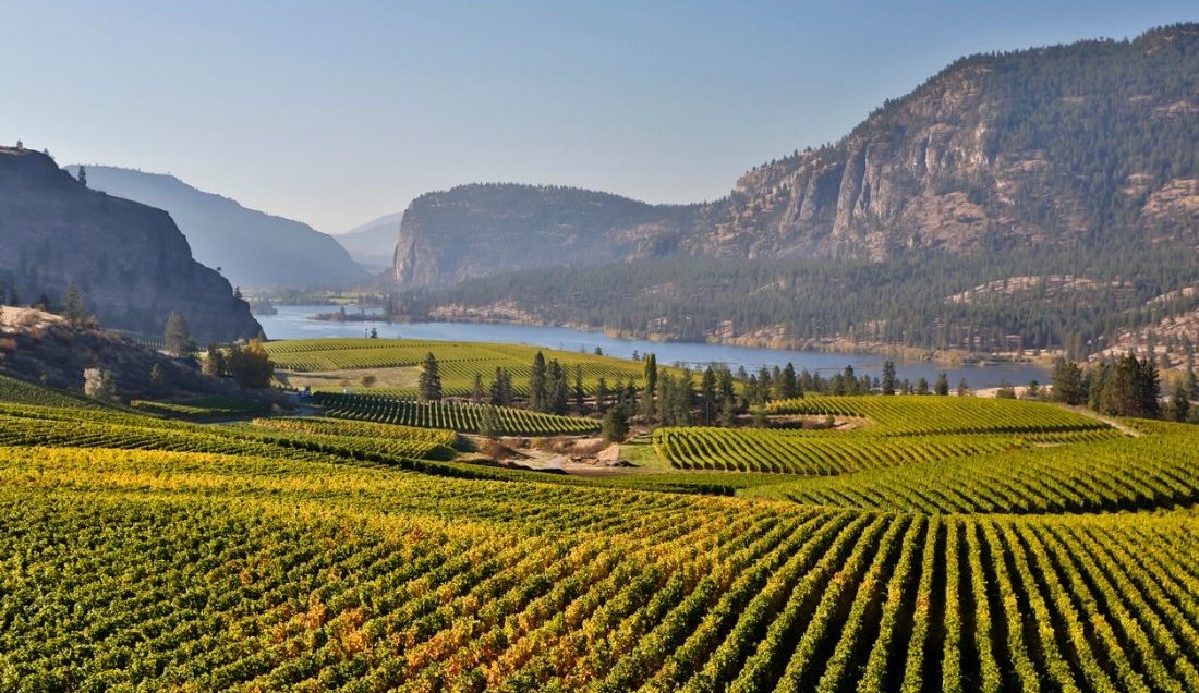 See Okanagan Valley