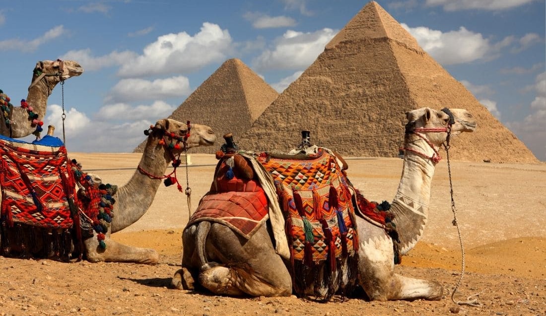 See the pyramids on a guided tour