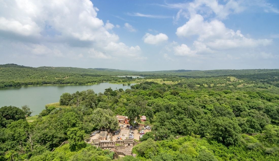 Visit Ranthambore National Park