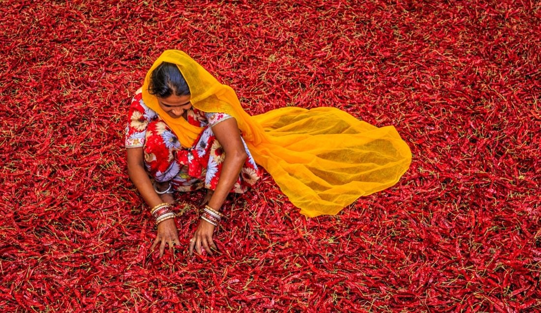 Group Travel to India