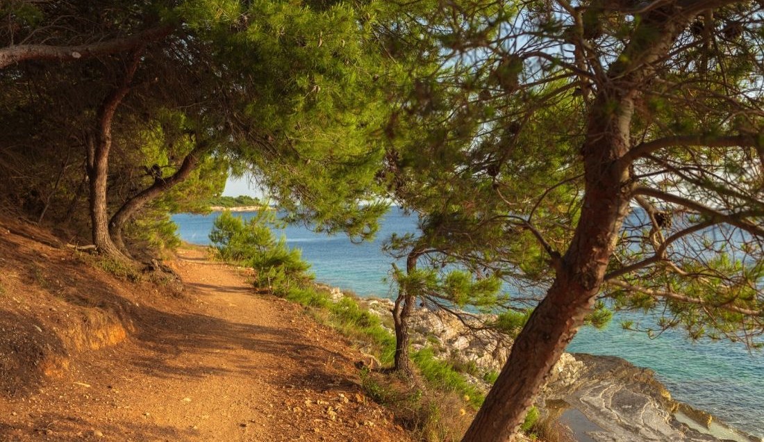 Explore Cilipi village in Croatia