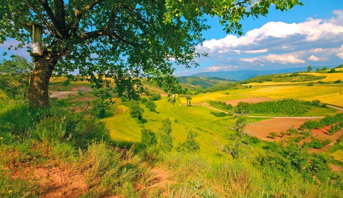 Travel to Spanish Vineyards on Package Holidays