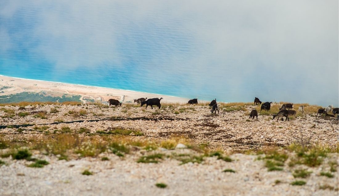 Explore the Llogara National Park in Albania