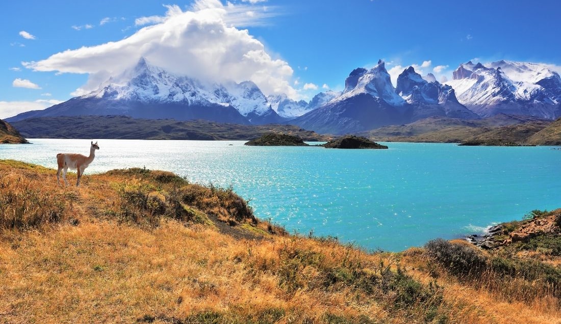Explore Patagonia - Ushuaia & Hike Perito Moreno Glacier