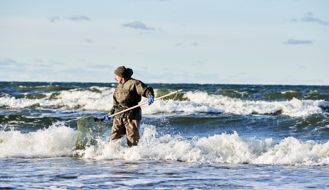 Learn more about Amber hunting in Karkle