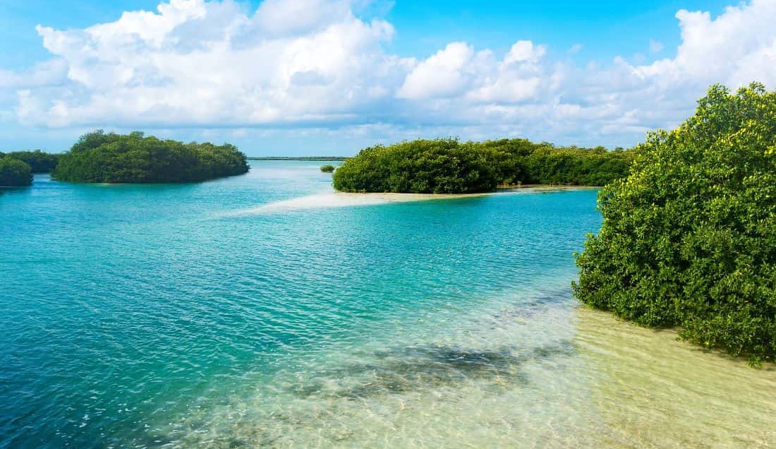 Enjoy a boat tour of the Sian Ka'an Biosphere Reserve 