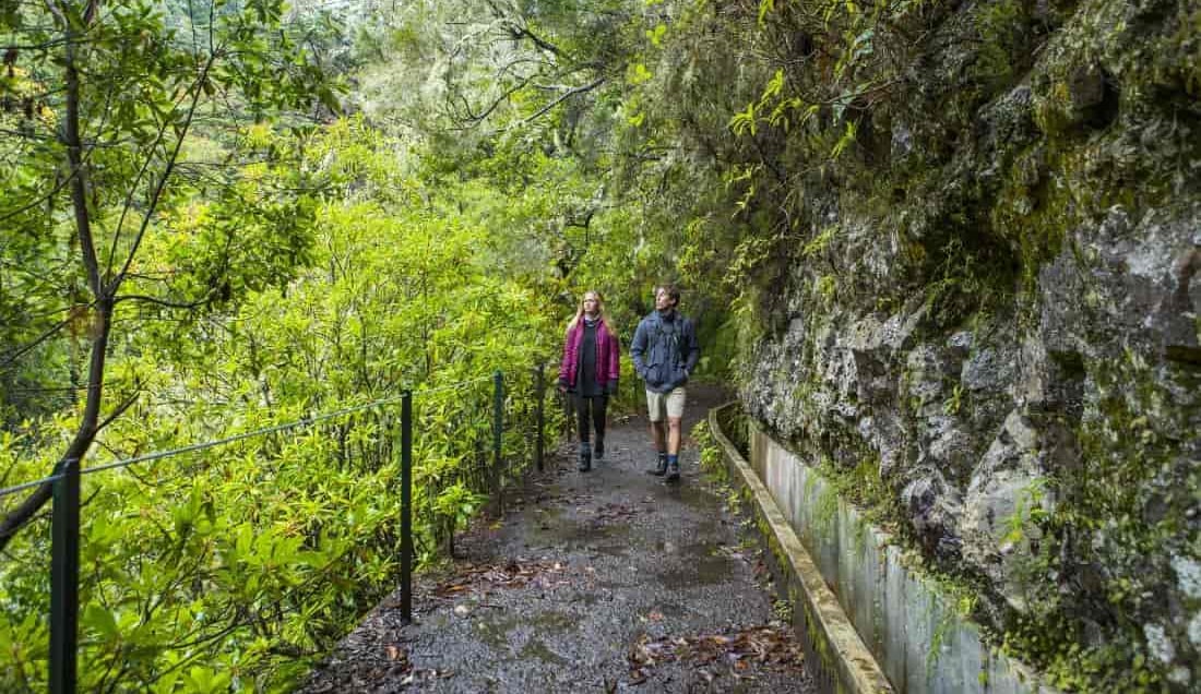Hike one of the famous levadas of Madeira