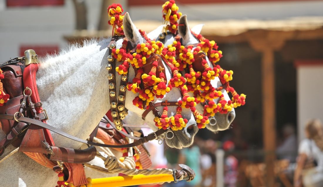 Equestrian ballet in Jerez de la Frontera