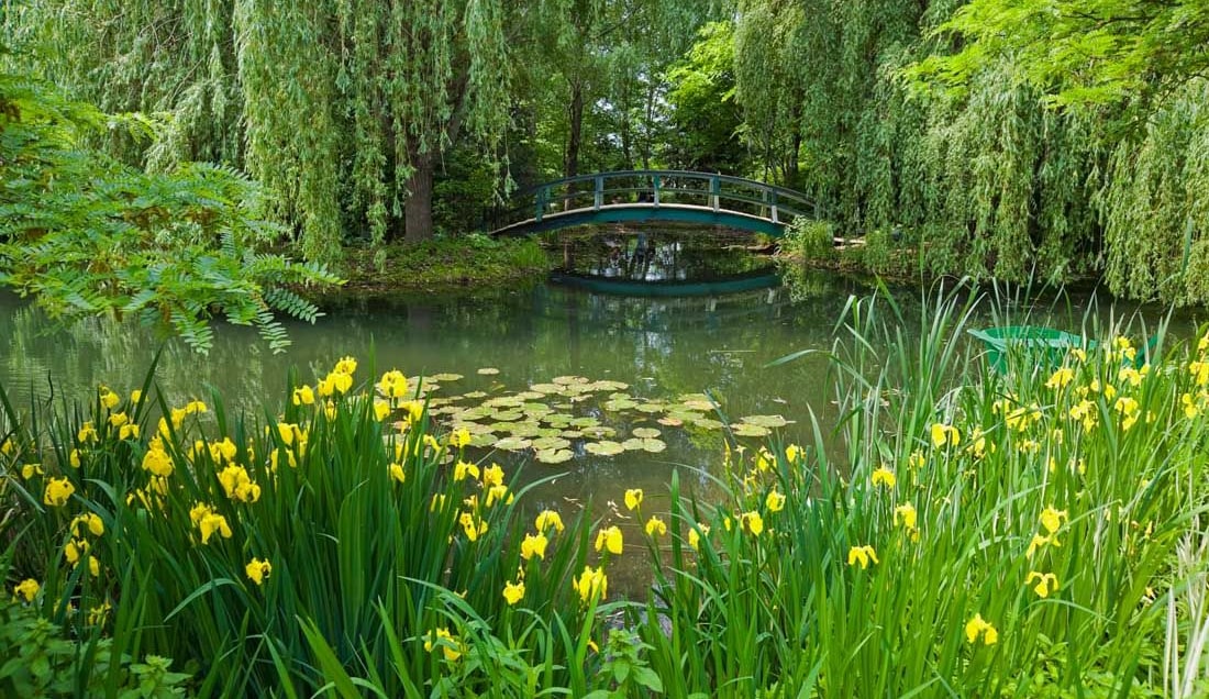 See Monet's artwork come to life 