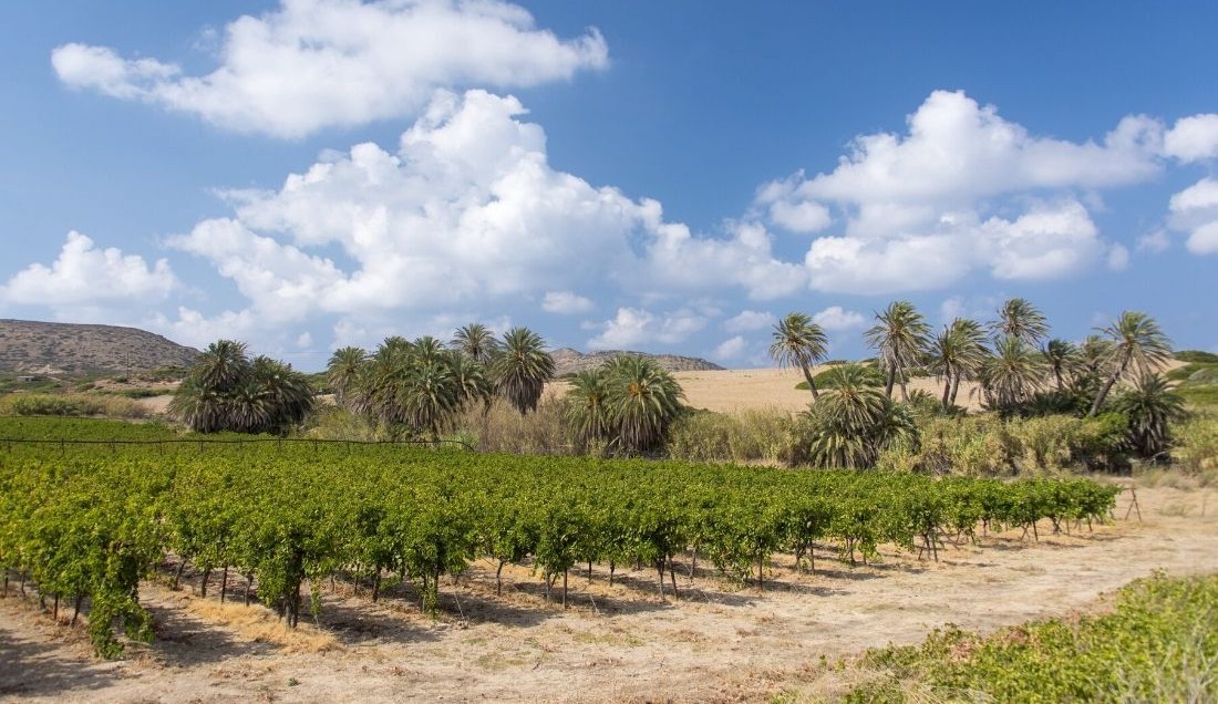Discover the beautiful Crete landscape
