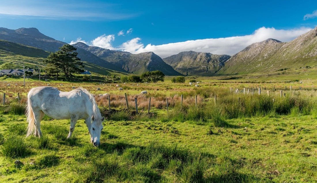 See the best of Connemara