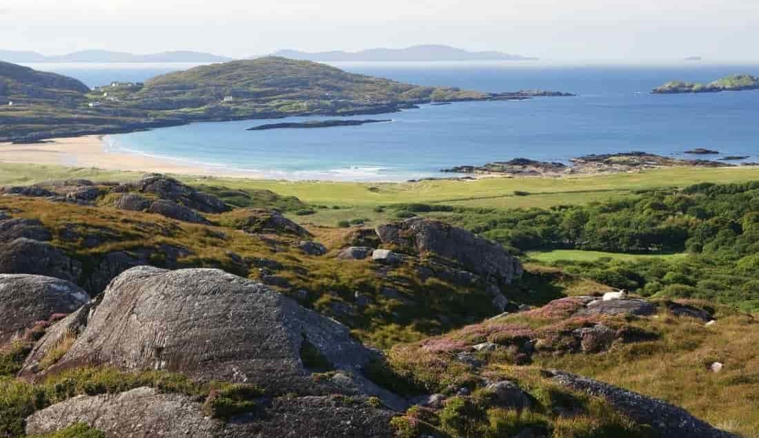 See the best of the Kingdom