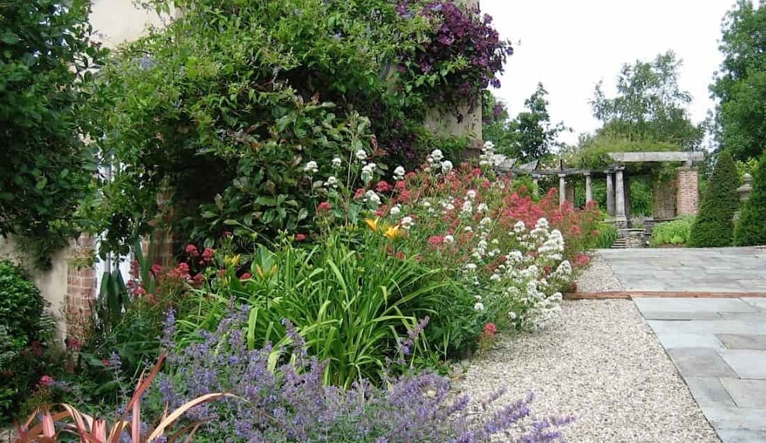 The garden borders at Oakfield Park