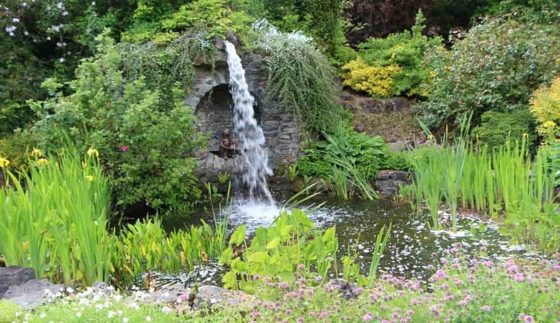 Explore Gash Gardens