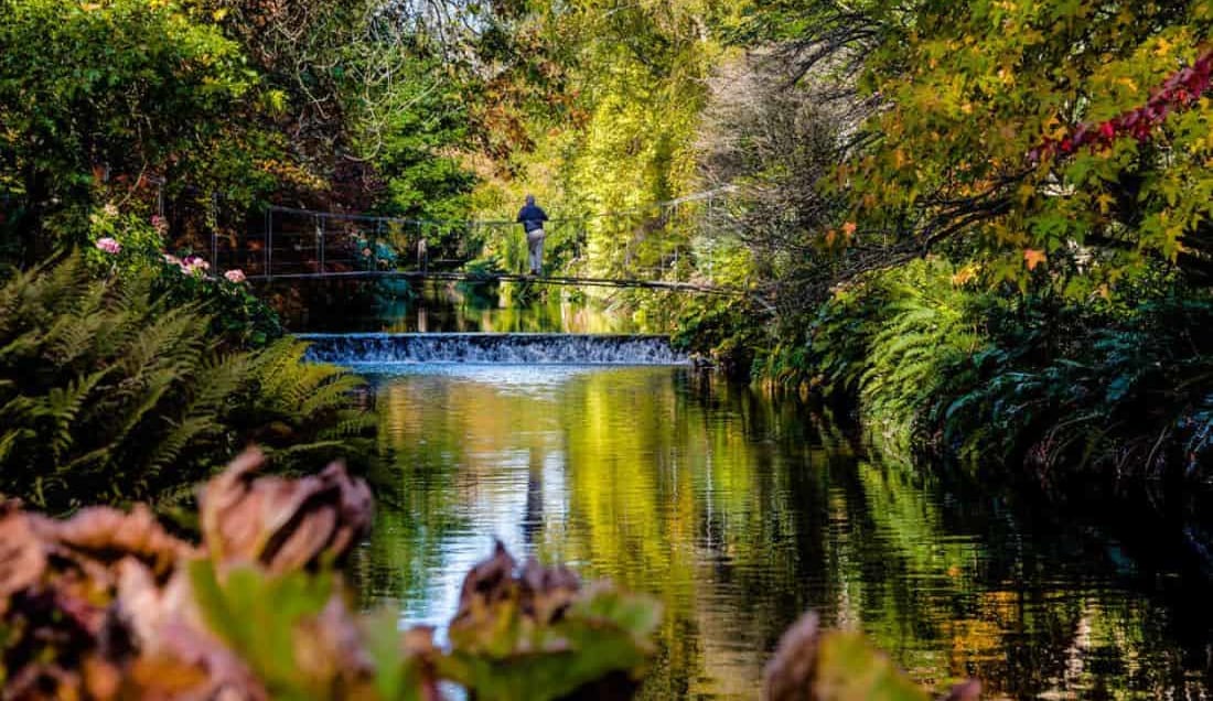 Visit Mount Usher Gardens