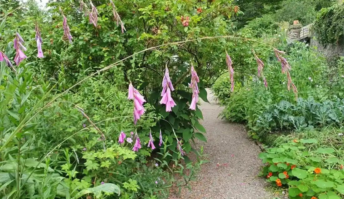 Explore Salthill Gardens