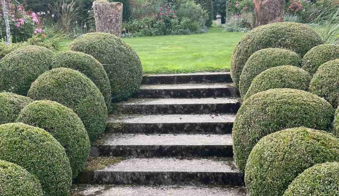 See incredible private gardens of Wexford