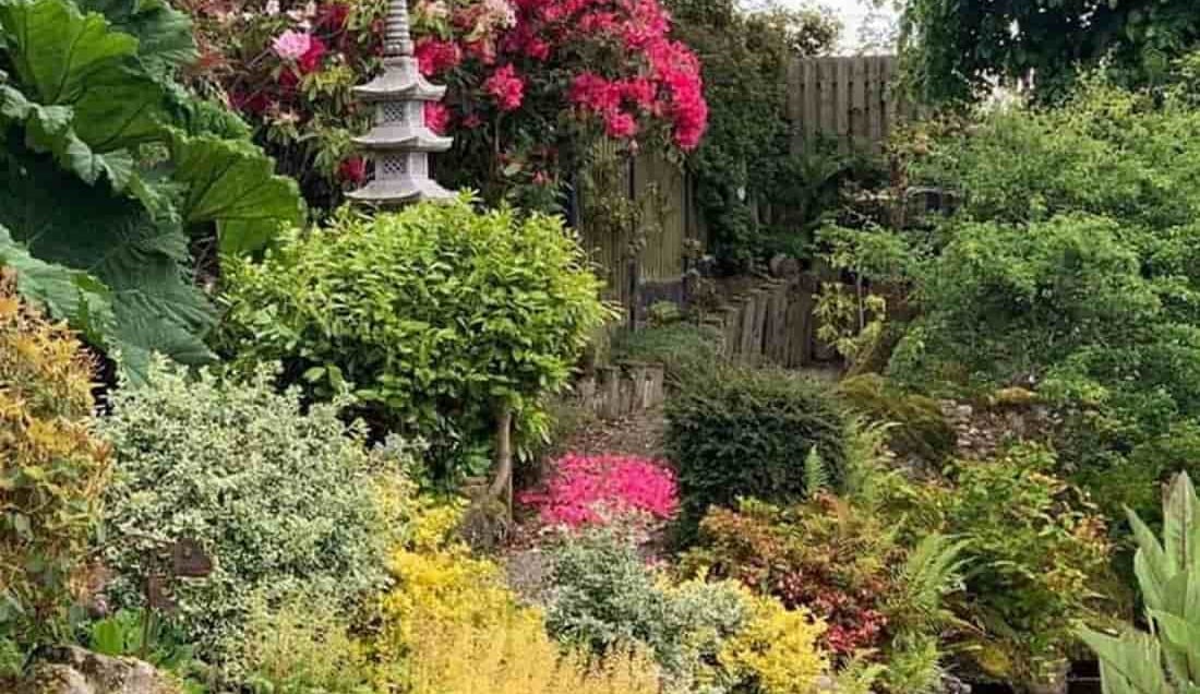 Visit Ballymore Schoolhouse Garden