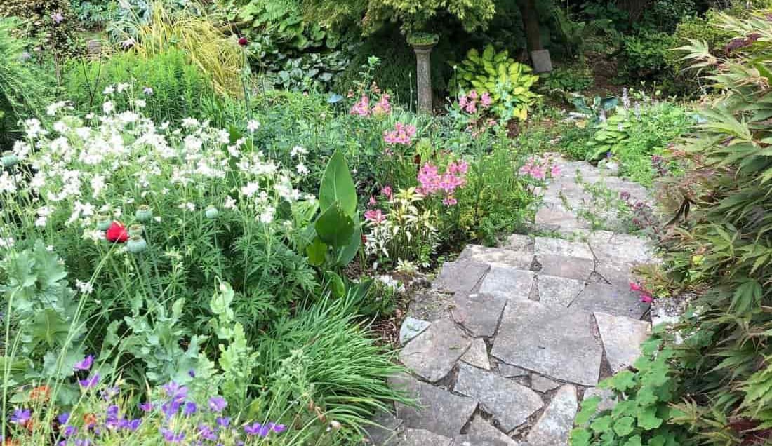 Explore Hillside Gardens