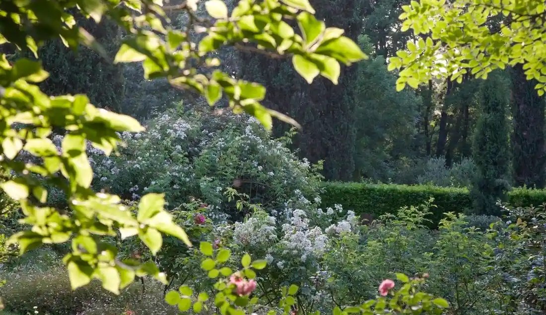 Visit Giardini della Landriana