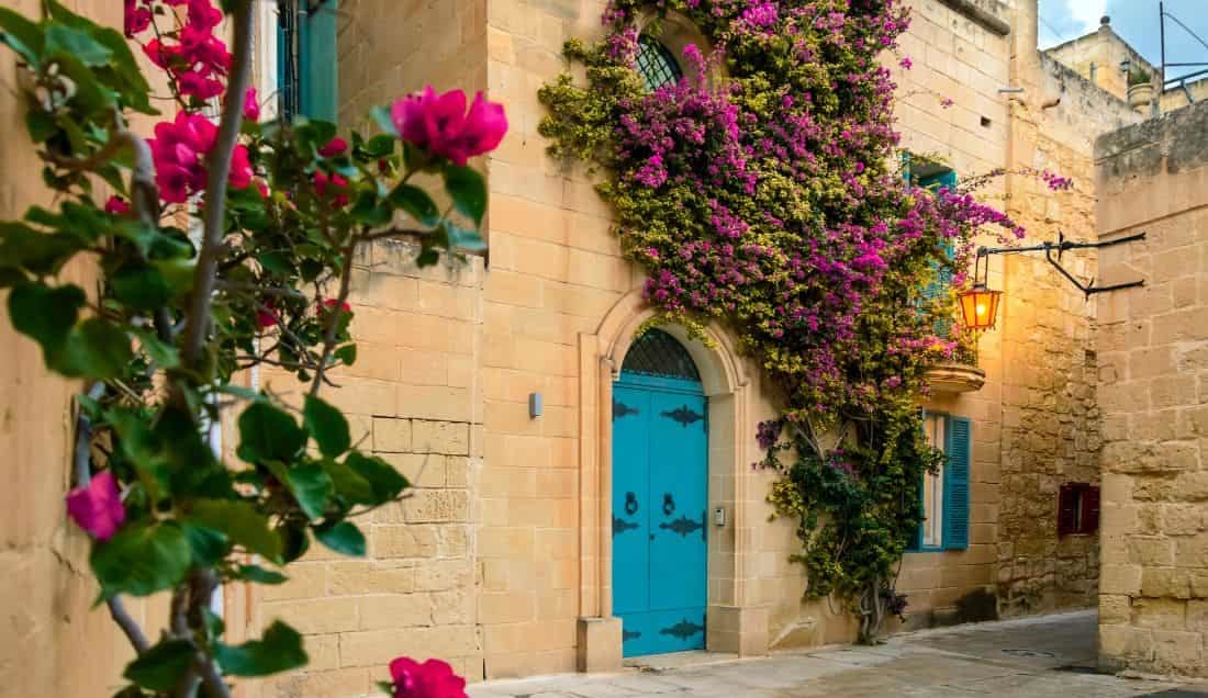 Discover Mdina