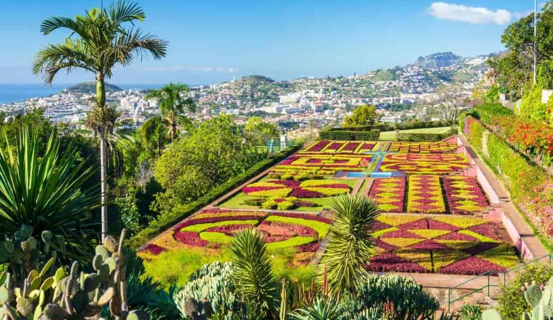 Gardens of Madeira