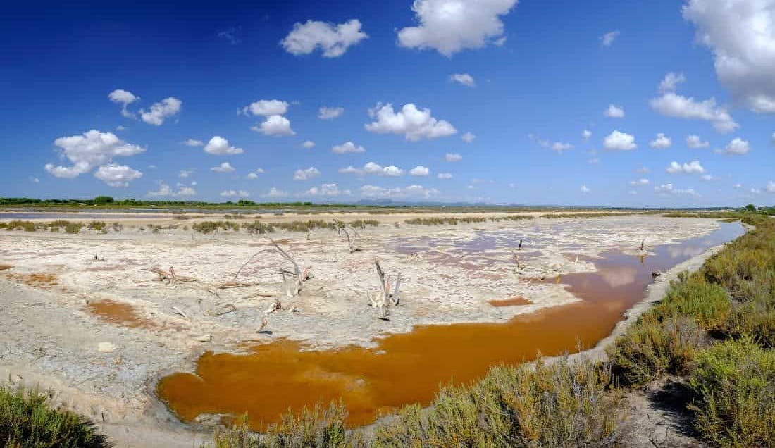 Visit Salt Mines d'Es Trenc