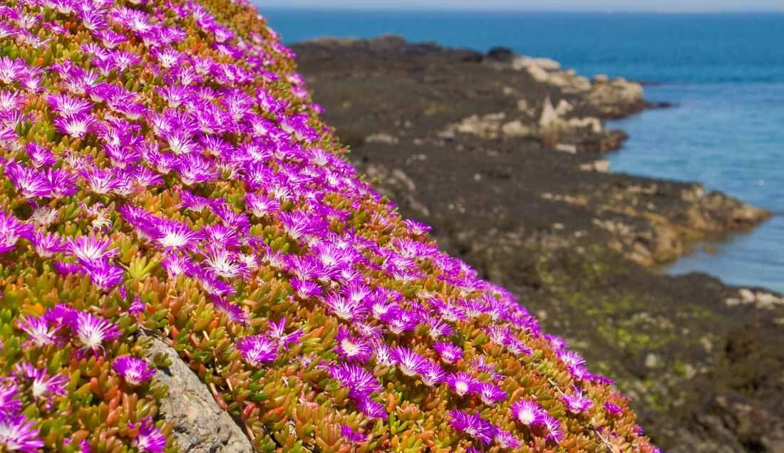 Discover the beautiful Jersey coast