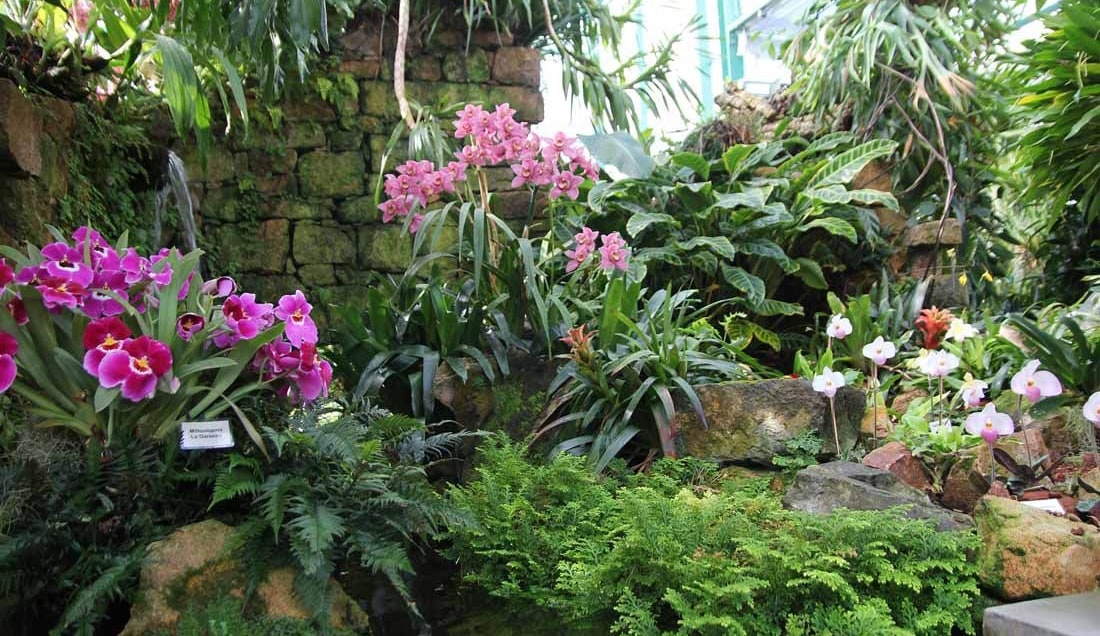 See the best private and public gardens in Jersey