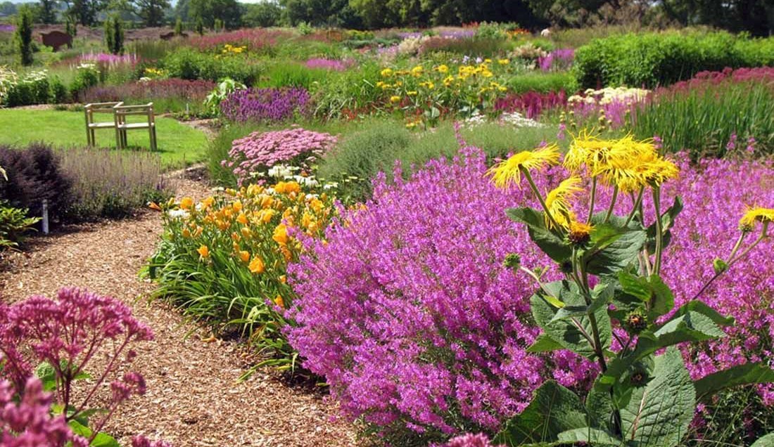 Discover Sussex Prairie Gardens.