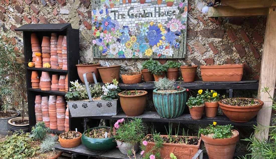 Visit Brighton Garden House.